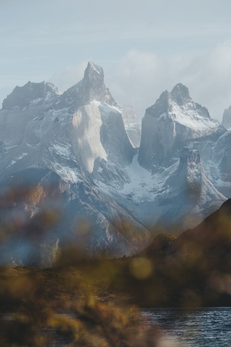 2023Patagonia-1.jpg