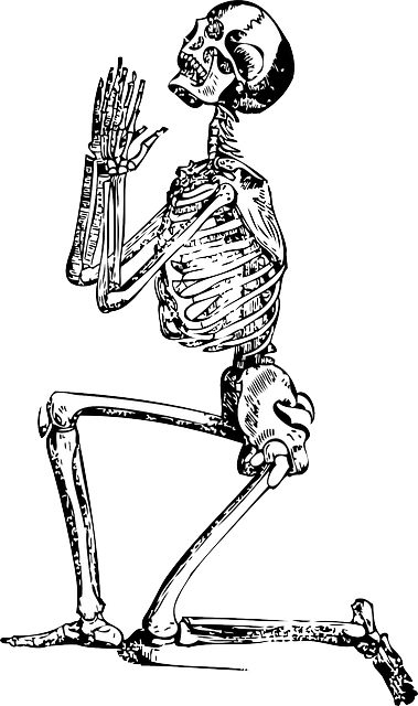 skeleton33847_640.png