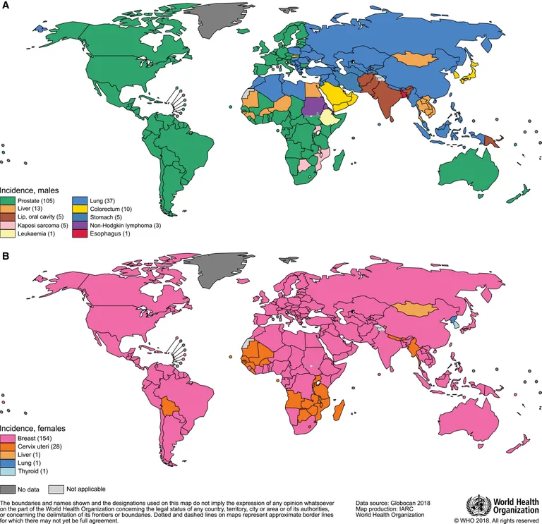 caac21492-fig-0005-m.webp