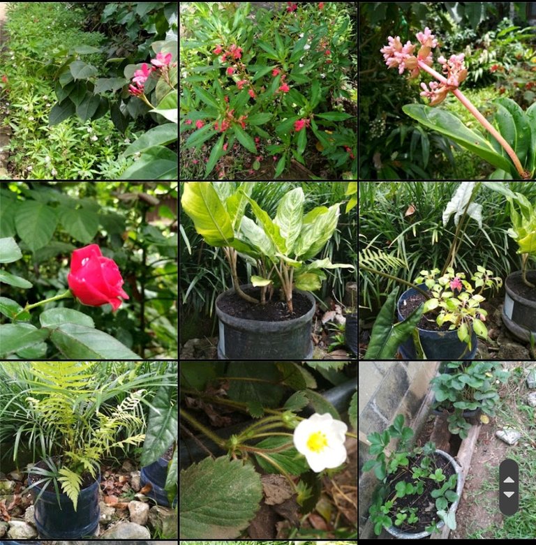 Screenshot_2024-05-30-00-24-35-885-edit_com.miui.gallery.jpg