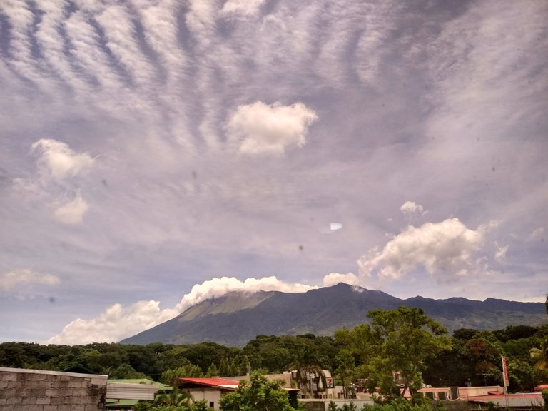 IMG_20200809_120655_HDR.jpg