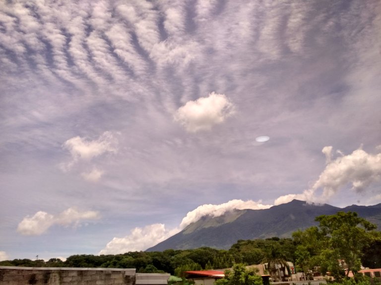 IMG_20200809_120629_HDR.jpg