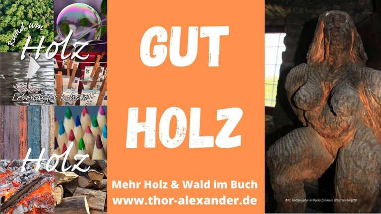 HZ Gut Holz.jpg