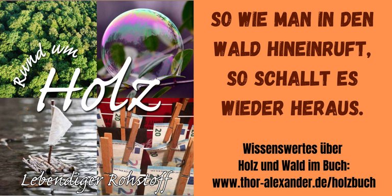 HZ So wie man in den Wald.jpg