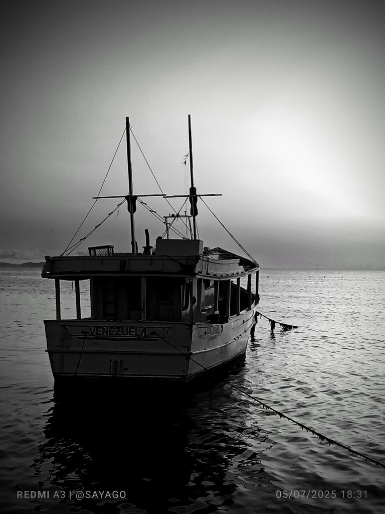 IMG_20250705_183156_1~2.jpg