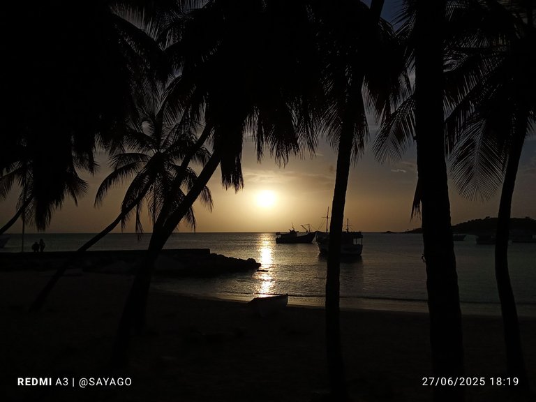 IMG_20250627_181954_1.jpg