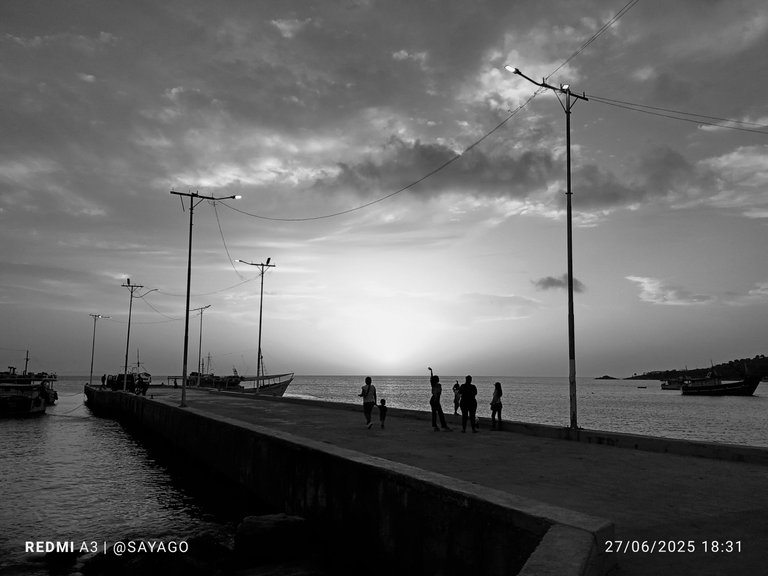 IMG_20250627_183135_1~3.jpg