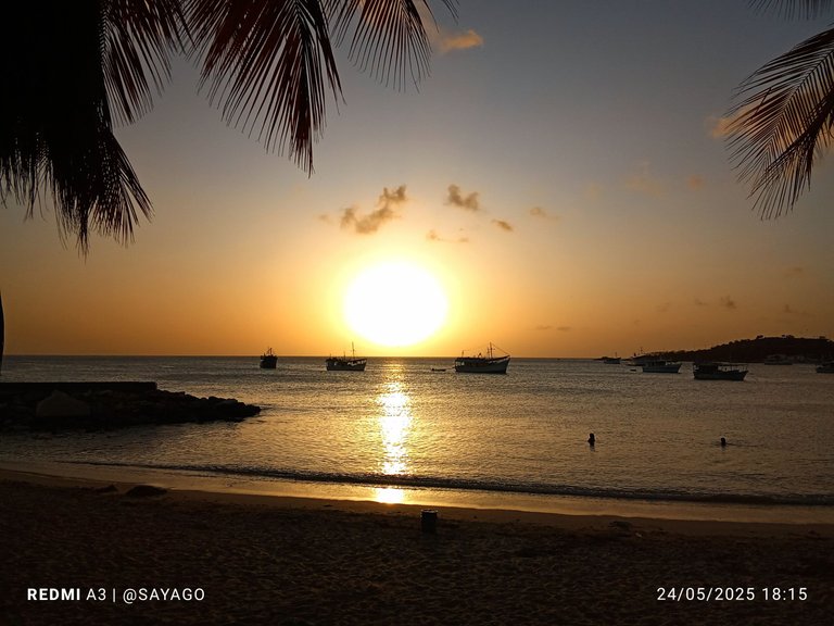 IMG_20250524_181542_1~2.jpg