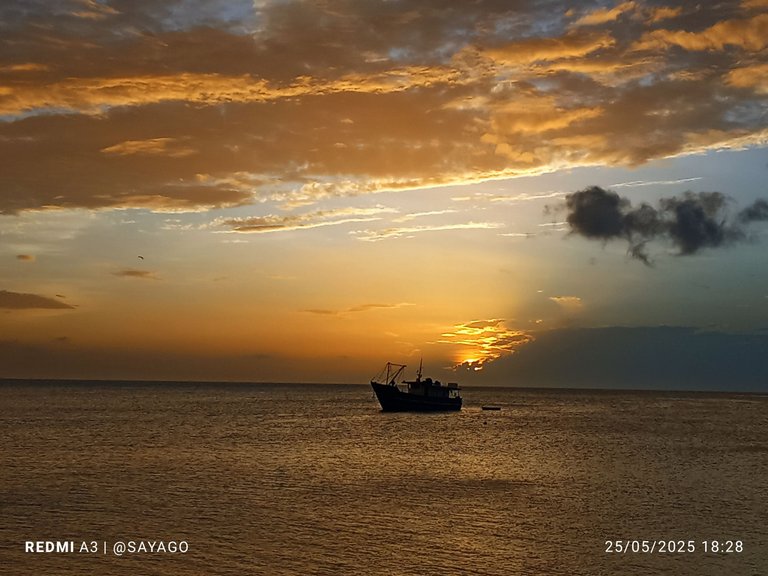 IMG_20250525_182822~2.jpg