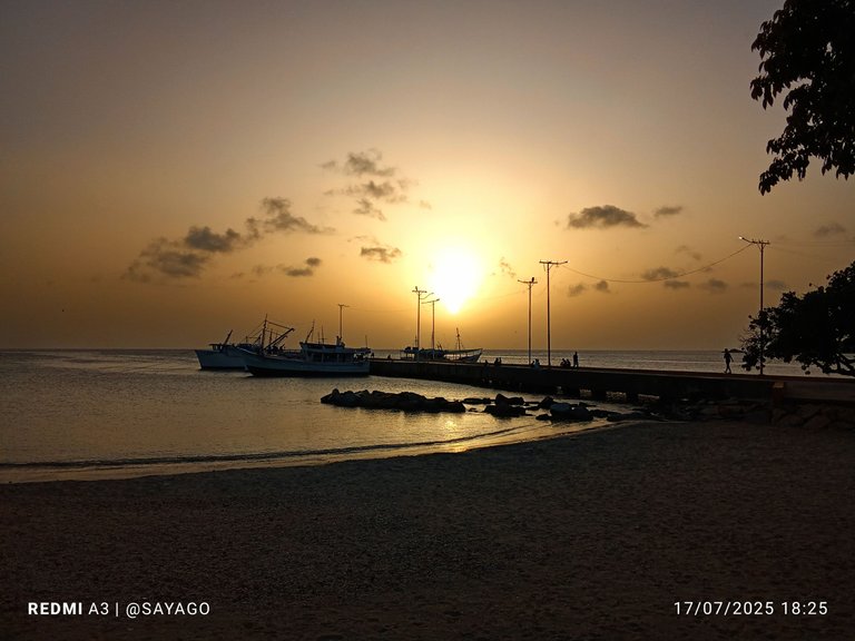 IMG_20250717_182515_1~2.jpg