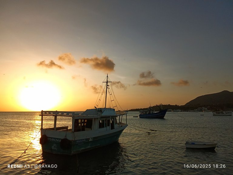 IMG_20250616_182608_1~2.jpg
