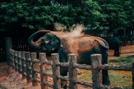 pexels-rudy-kirchner-278171-1831536.jpg