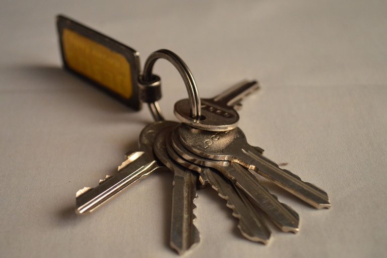 bunch-of-keys-g10929d3ee_1920.jpg