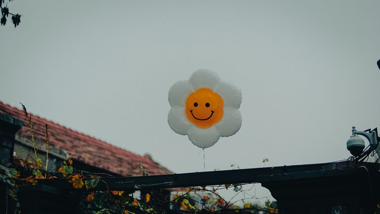 javier-zhang-uJaIce_h2lU-unsplash.jpg
