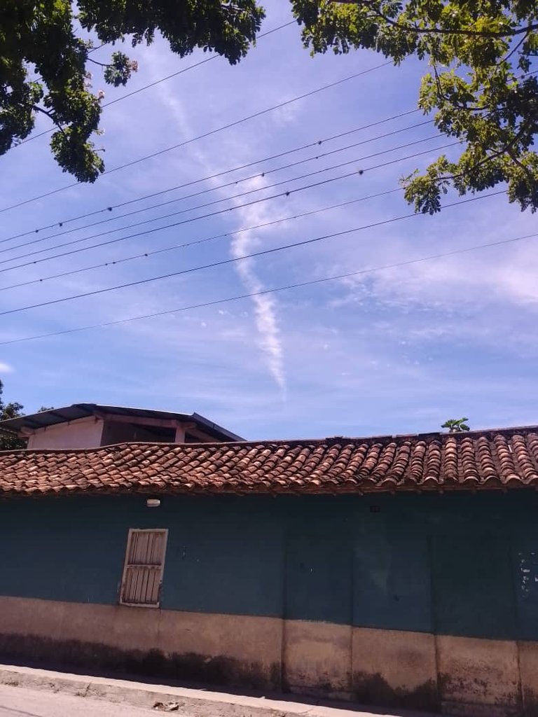 1000899887.jpg
