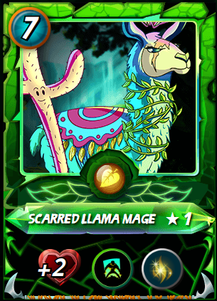 Scarred LLama Mage lv1 (2).PNG