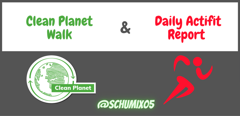 Clean Planet & Actifit Report.PNG