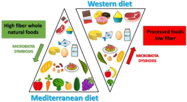 Differences_between_Mediterranean_diet_and_Western_diet.png