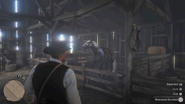 Red Dead Redemption 2_Wrobel Horse.jpg