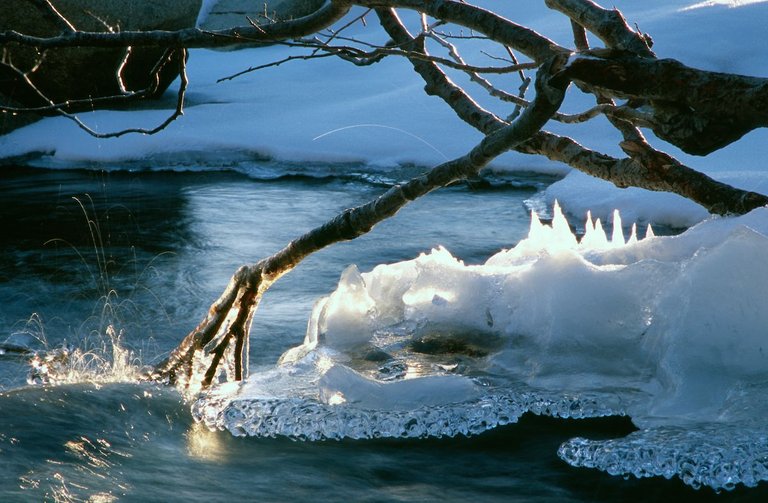 Iced Branch at Eagle Falls.jpg