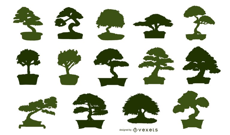 asian-bonsai-illustration-072011.png