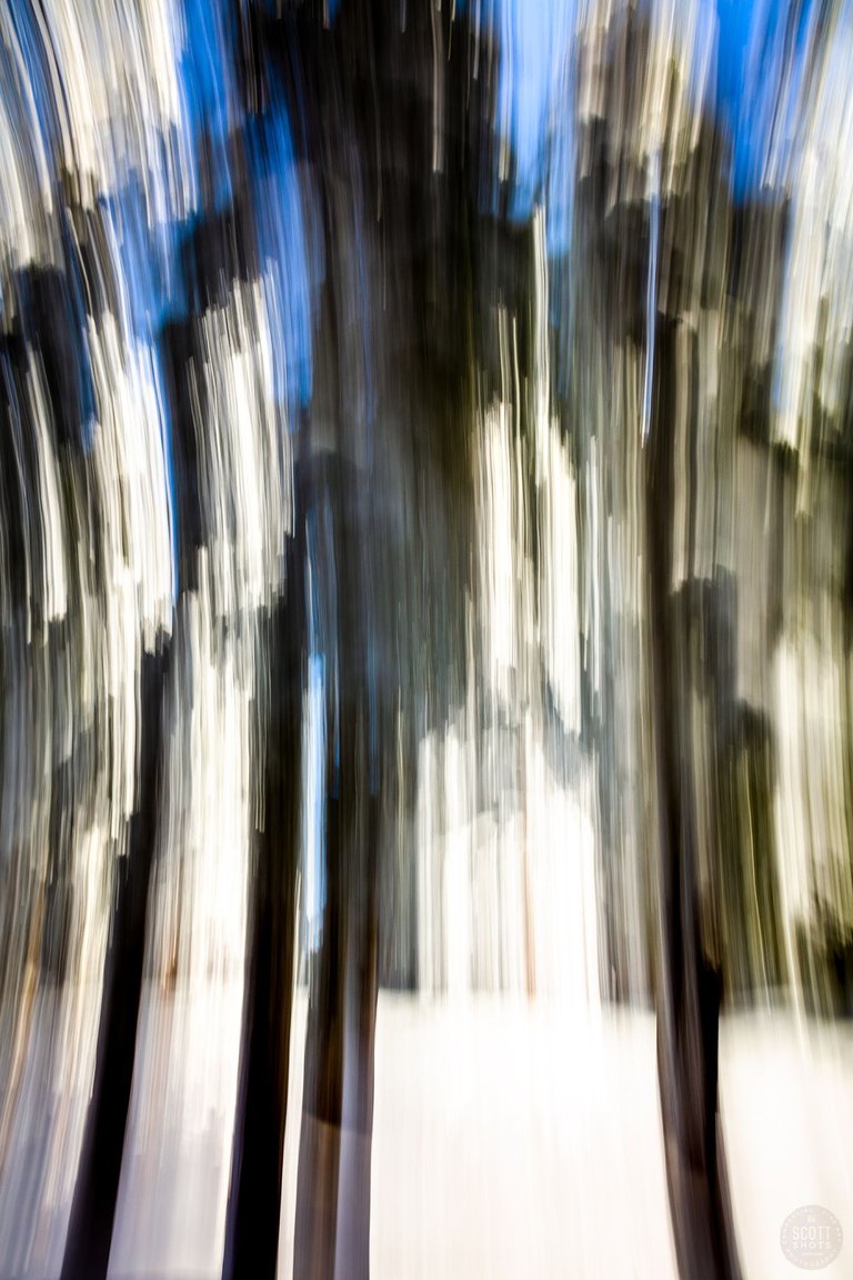 _Q1A8041.jpg
