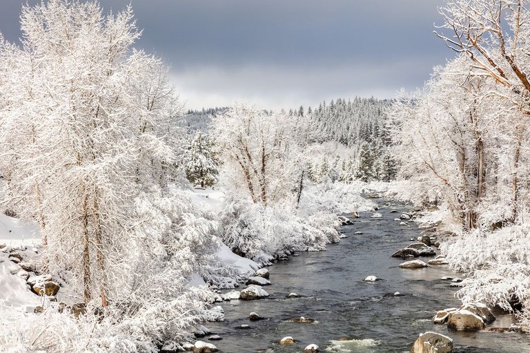 Snowy Truckee River 14.jpg