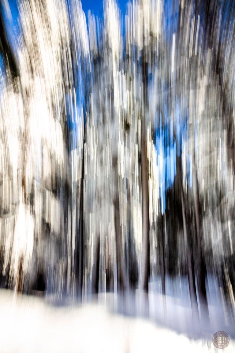 _Q1A8063.jpg