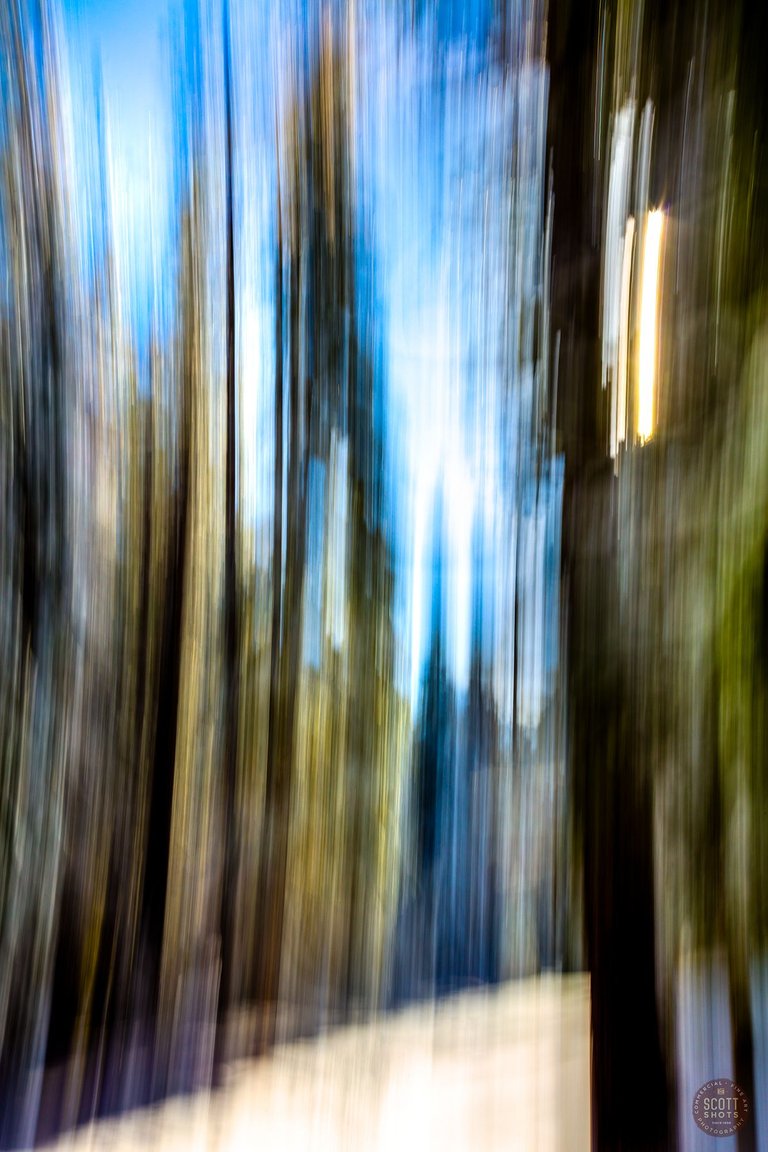 _Q1A8194.jpg
