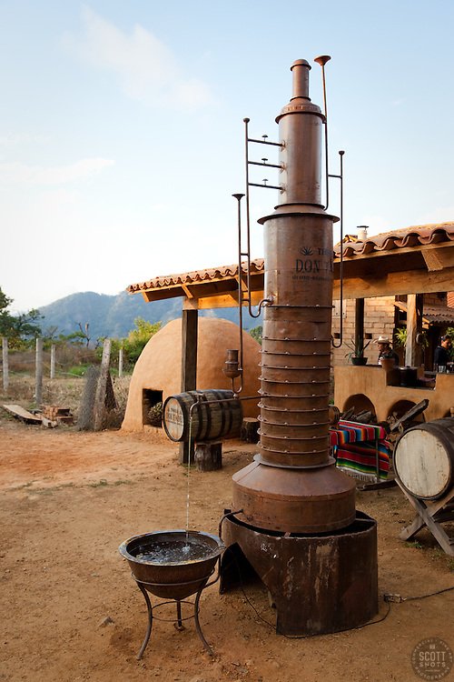 Tequila-Distillery.jpg