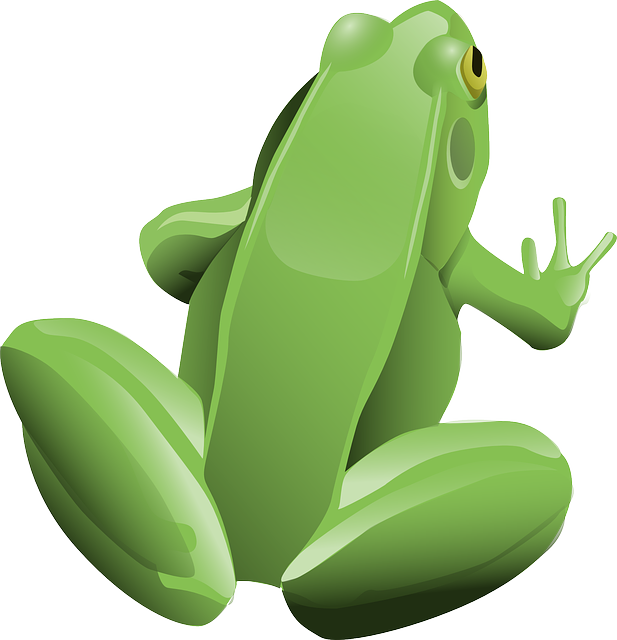 frog-gb38ab9cc9_640.png