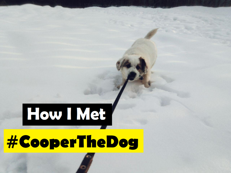 How i met Cooper