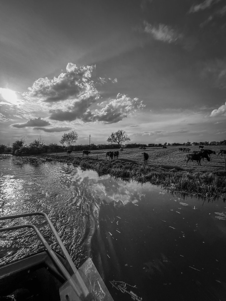 BA65255D-7EFF-4BEC-AF55-7F7527BDB224.jpeg