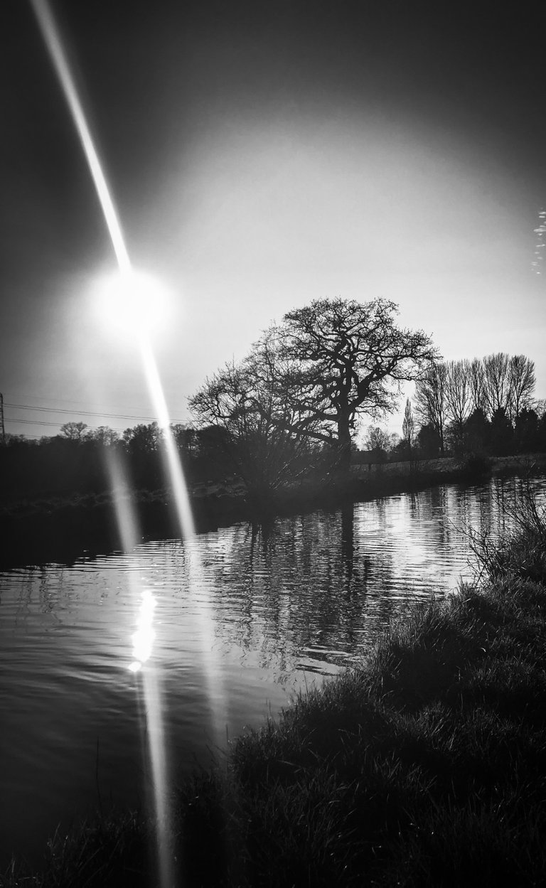 975B54D6-3092-4F5D-BB30-8B0E7E1F9E6D.jpeg