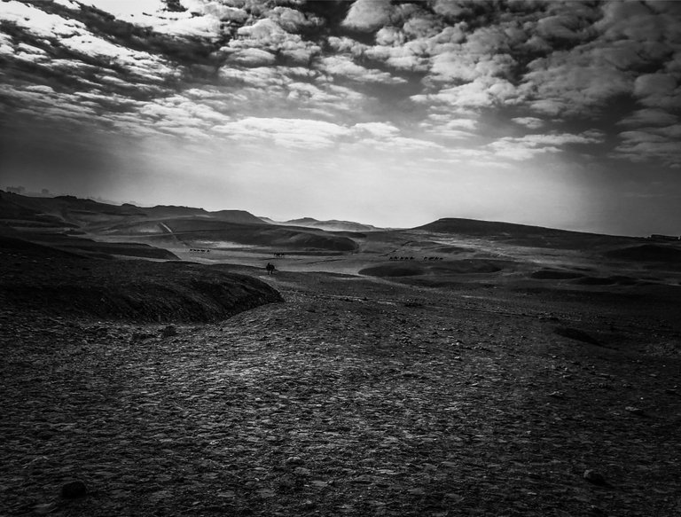 9237AEA5-3EBB-4442-954E-1EF0268CCF61.jpeg