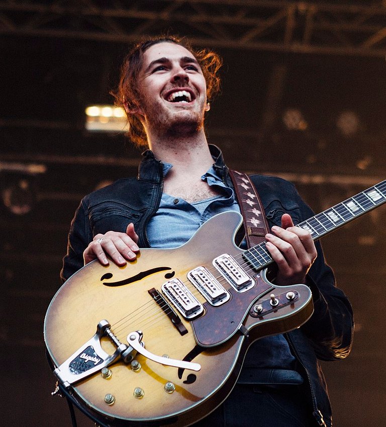 Hozier_2015_01_(cropped).jpg