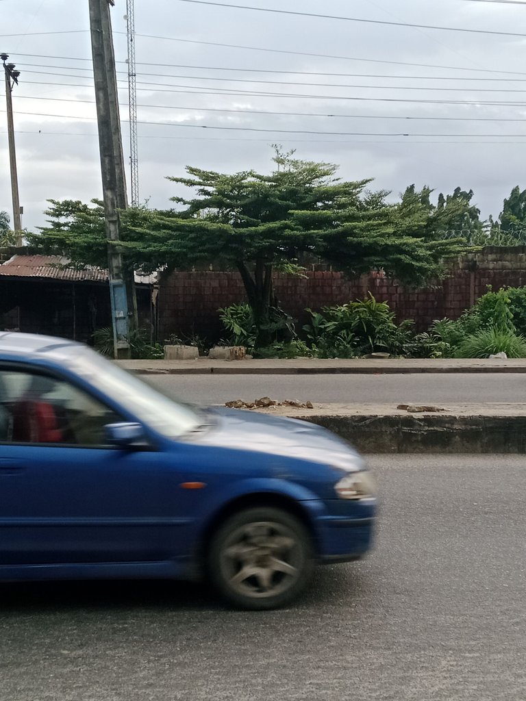 1001290565.jpg