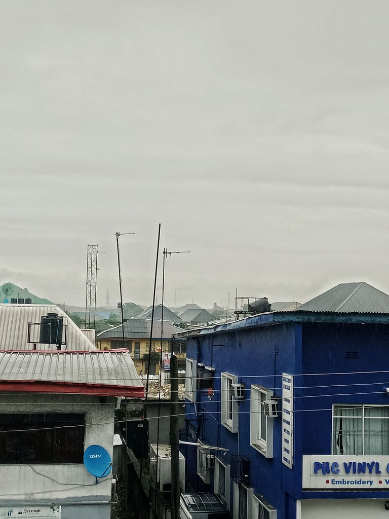 1001289161.jpg