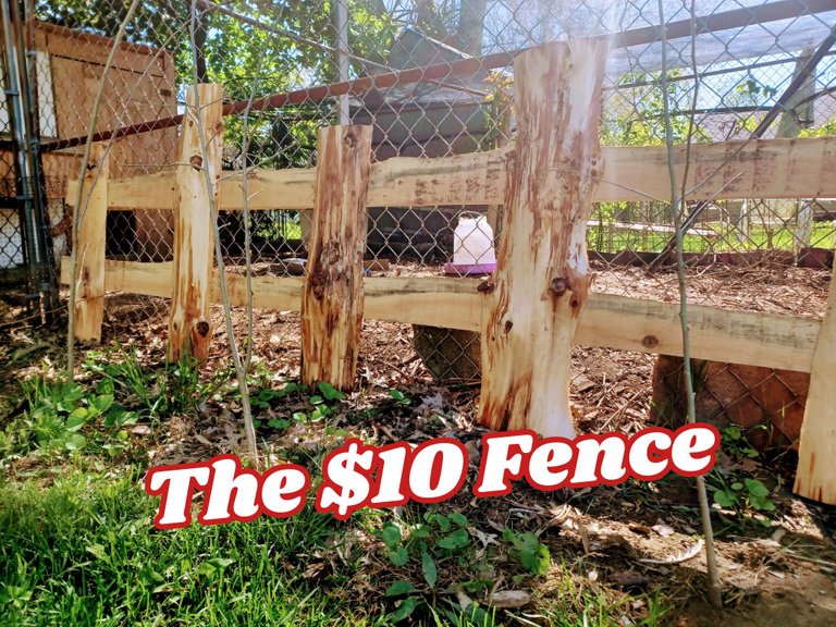 The $10 Fence.png