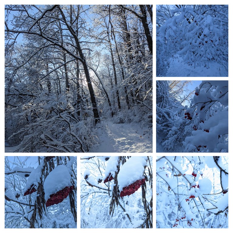 20221222_113557-COLLAGE.jpg