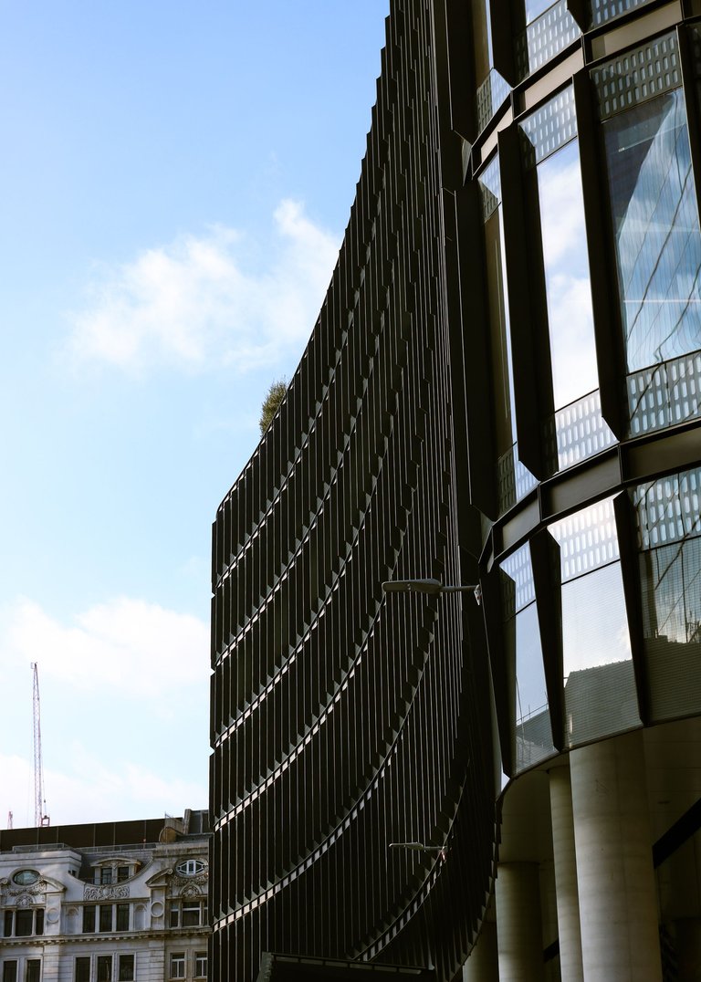 curved architectural lines.jpg