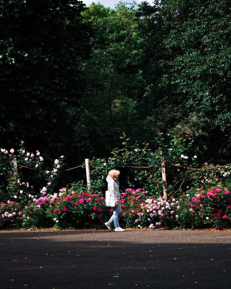 Walk in nature.jpg