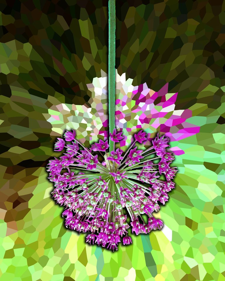 Weird flower 8 edit 1.png