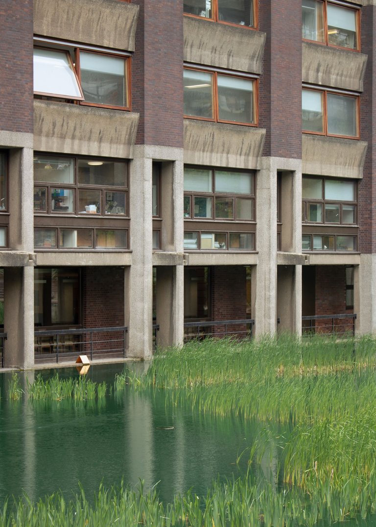 Building with a pond in front of it.jpg