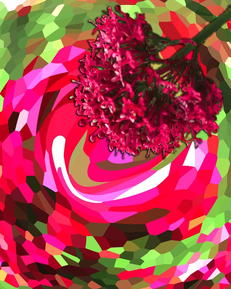 Weird flower 9 edit 1.png