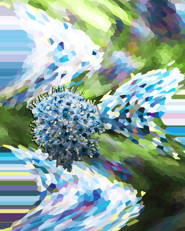 Weird flower 12 edit 1.png