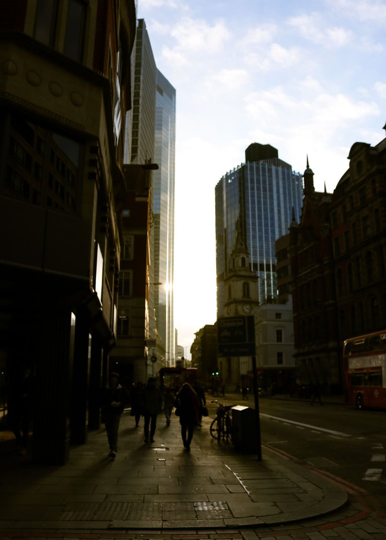 golden hour between buildings.jpg