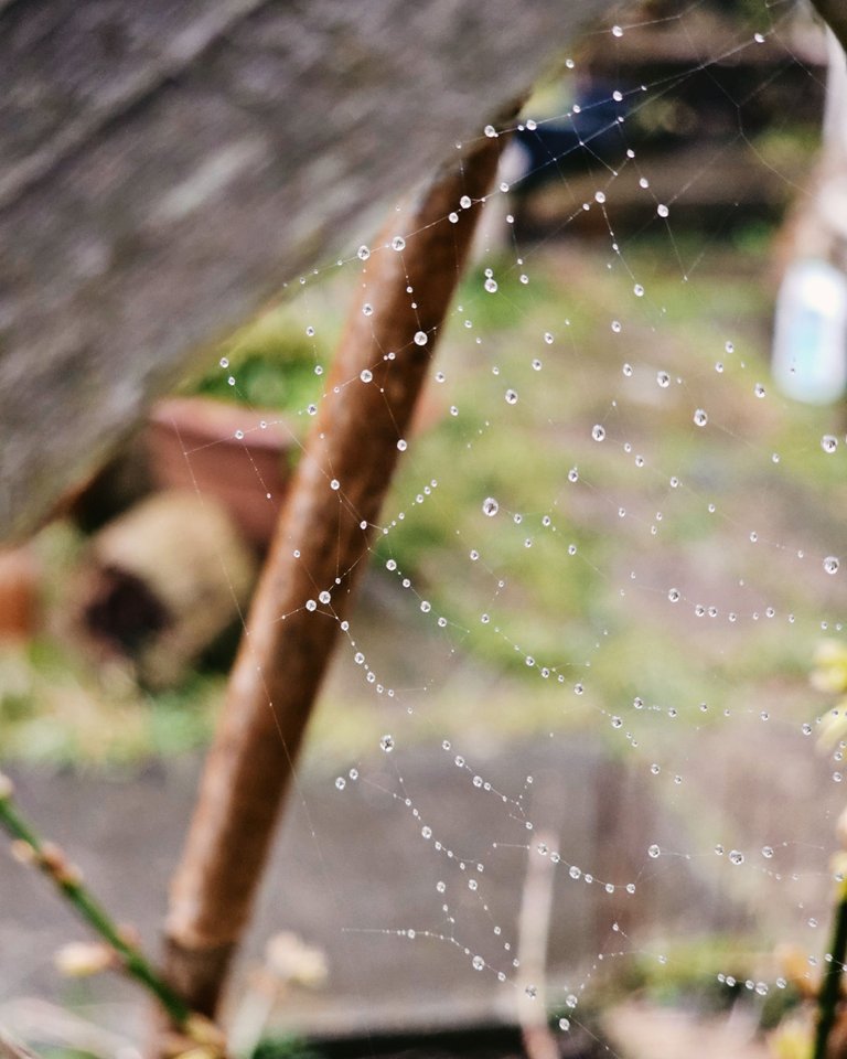 Picsart_24-03-13_14-39-29-399[1].jpg