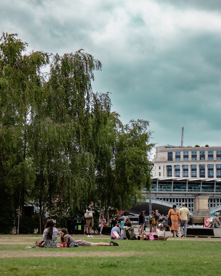 People chilling and laying on the grass.jpg