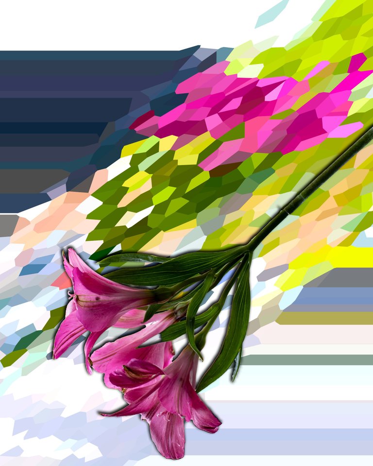 Weird flower 13 edit 1.png